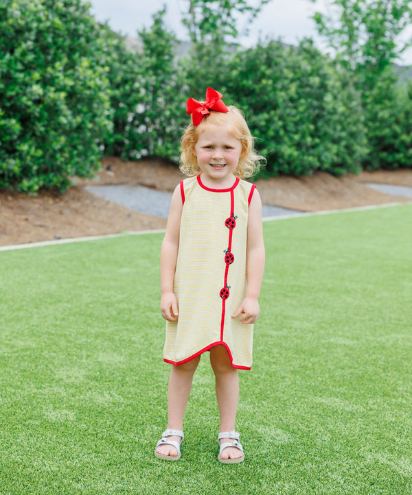 Lovely Ladybugs Dress