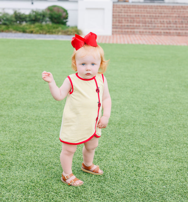 Lovely Ladybugs Diaper Set