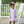 Ballet Slipper Dress