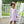 Ballet Slipper Dress