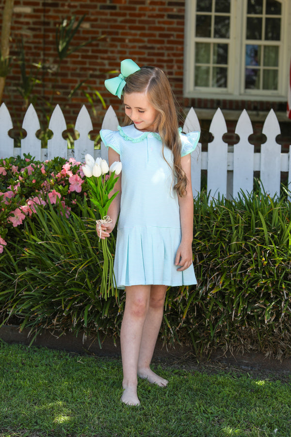Camilla Dress- Mint Stripe