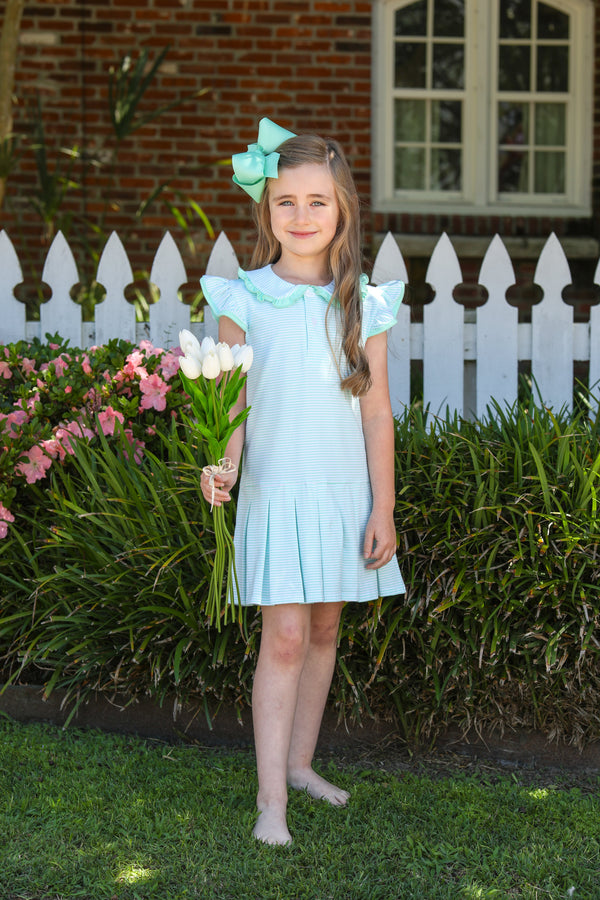 Camilla Dress- Mint Stripe