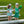 Cheer Uniform Dress- Green