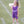Cheer Uniform Dress- Purple