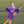 Cheer Uniform Set- Purple