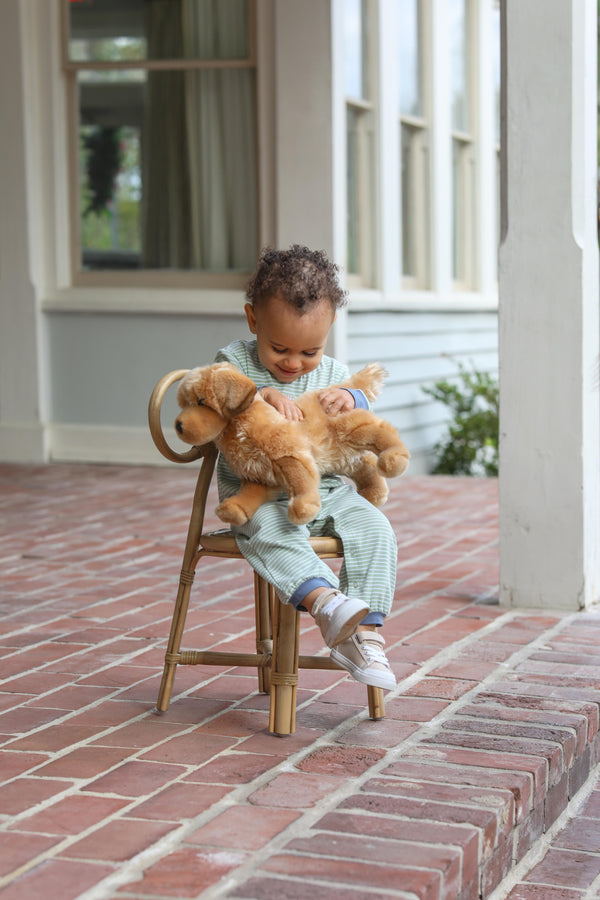 Dog Romper