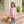 Dog Ruffle Pants Set