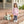 Dog Ruffle Pants Set