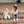 Dog Ruffle Pants Set
