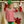 Ellie Pants Set- Red Stripe/Green