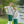 Fishing Trio Polo