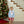 French Terry Pullover- Santa (Light Blue)
