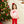 French Terry Pullover- Santa (Light Pink)