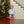 French Terry Pullover- Santa (Light Blue)