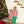 Ellie Bloomer Set- Red Stripe/Green