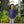 Laura Ruffle Pullover- Navy