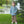 Mallard Embroidery 1/4 Zip Pullover