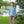 Mallard Embroidery Polo