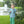 Mallard Embroidery Pants Set