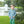 Mallard Embroidery Pants Set