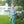 Mallard Embroidery Pants Set