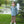 Mallard Embroidery 1/4 Zip Pullover