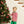 Miller Pants Set- Red Stripe/Green