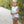 Noah Bubble- Light Blue Stripe