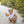 Noah Bubble- Light Blue Stripe
