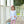 Pumpkin Ruffle Pants Set