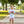 Apple Ribbon Banded Short Set