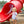 Apple Trio Bubble