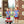 School Trio Bloomer Set