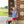 School Trio Short Set