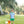 Tractor Trail Short Set