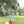 Tractor Trail Bubble