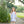 Madison Dress- Dusty Blue Stripe/Mauve