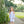 Madison Dress- Dusty Blue Stripe/Mauve