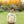French Terry Pullover- Football