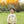 French Terry Pullover- Football