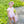 Boo Bubble- Pink