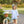 Lucille Bloomer Set- Light Blue Bitty Dot