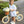 Lucille Bloomer Set- Light Blue Bitty Dot