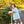 Lucille Dress- Light Blue Bitty Dot