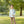 Deer 1/4 Zip Pullover