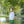 Mallard Trio Pant Set
