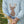 Deer Pant Set