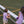 Henry Game Day Polo- Purple Stripe