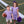 Henry Game Day Polo- Purple Stripe