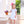 Cecilia Dress- Light Blue Gingham/Pink